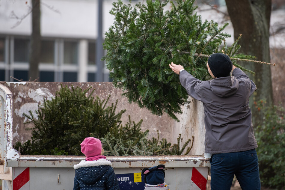Bis zum 9. Januar bietet Euch die Stadt an mehr als 100 Sammelplätzen die kostenlose Abgabe Eurer Weihnachtsbäume an.