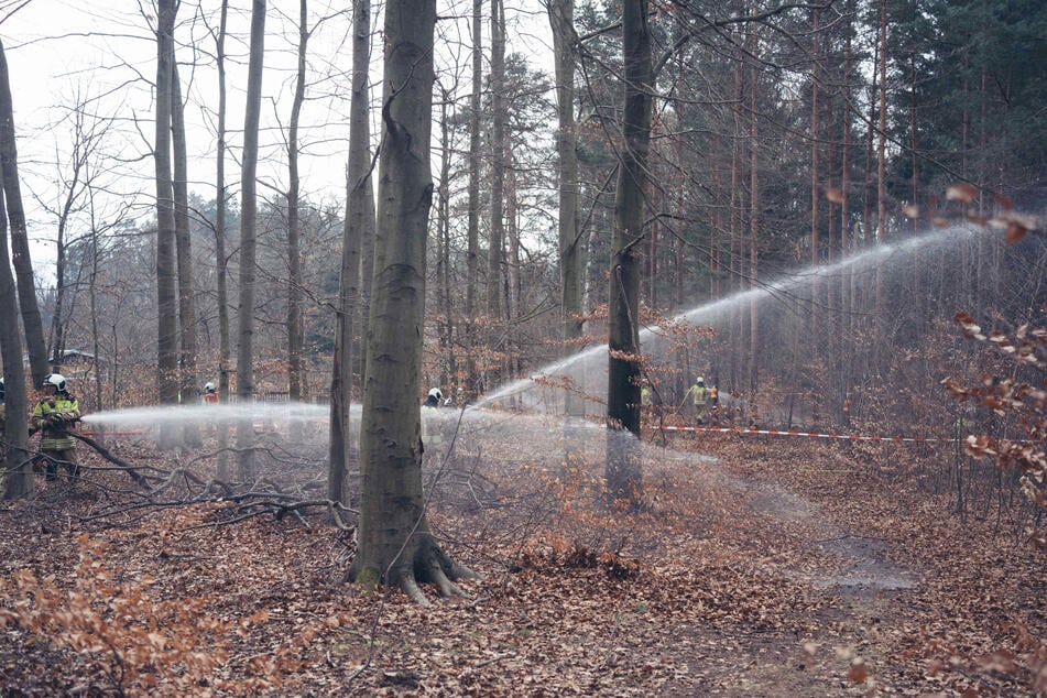 Die Einsatzkräfte gingen mit mehreren Strahlrohren zu Werke. Sollte es tatsächlich mal zu einem Brand in der Dresdner Heide kommen, sind sie gerüstet.