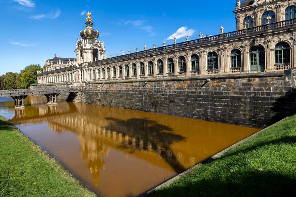 In den Wasserproben aus dem Zwingerteich wurden Bakterien entdeckt, die für die Färbung verantwortlich sein könnten.