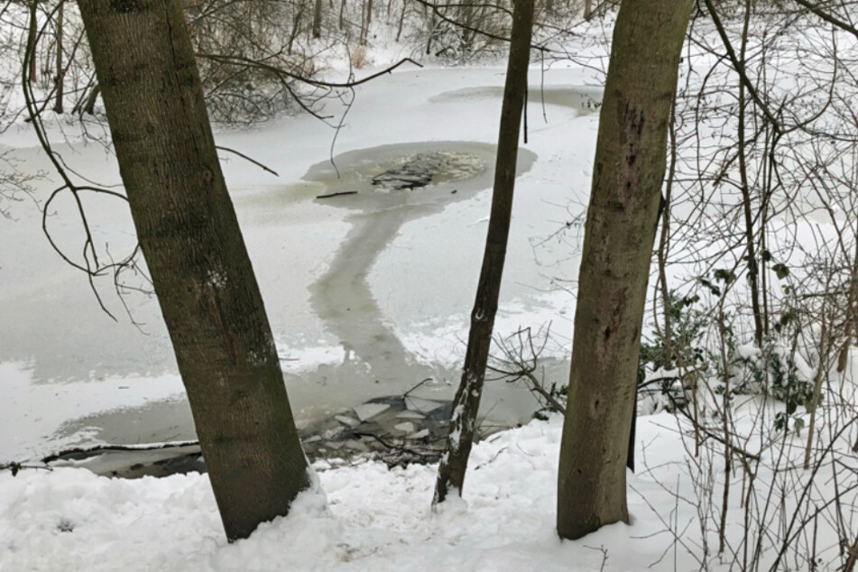Der 10-Jährige brach auf diesem Teich ein und konnte gerade noch gerettet werden.