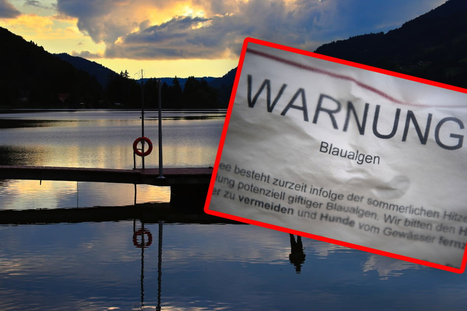 Wegen möglicher Blaualgen im Wasser sollte man im Allgäuer Alpsee derzeit nicht schwimmen.