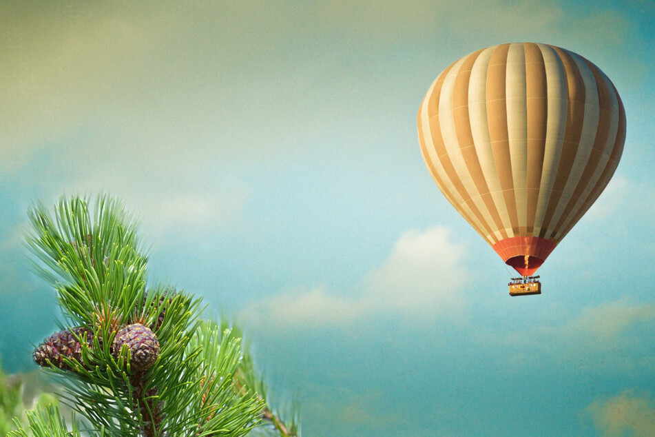 Hu spent two days floating in a hydrogen balloon after an attempt to pick pine nuts got the best of him (stock images).