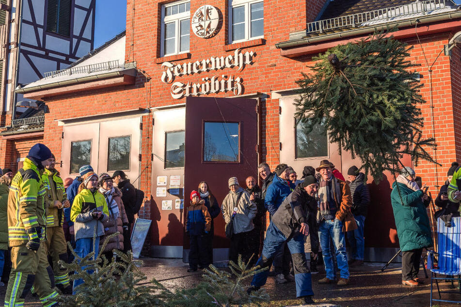 Wer wirft weiter? In der Lausitz fliegen die Weihnachtsbäume
