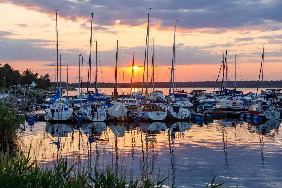 Im Lausitzer Seenland gibt es mehr als 20 Seen.