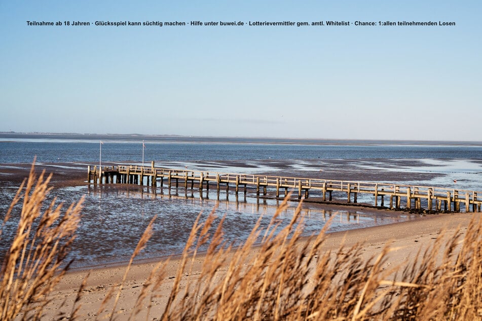 Traumhaus an der Nordsee sucht neuen Besitzer! Wer will es für fünf Euro haben?