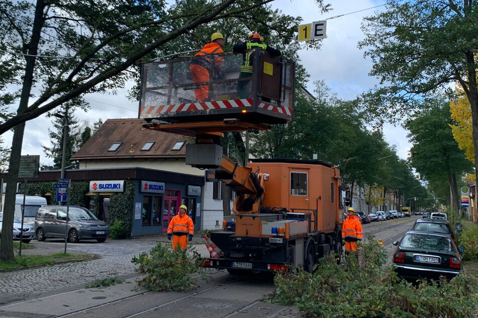 In ganz Mitteldeutschland haben umgestürzte Bäume am Donnerstag Leitungen beschädigt. In Leipzig war die Tram-Leitungen betroffen, vielerorts jedoch auch Stromleitungen.