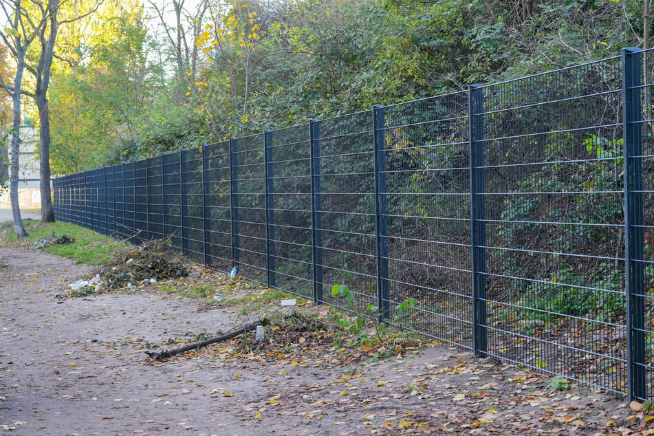 Seit dem 1. März 2026 wird der Görlitzer Park in den Nachtstunden geschlossen. Satte 800.000 Euro kostet die Maßnahme pro Jahr. (Archivfoto)