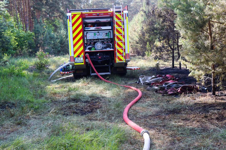 Zwei Tanklöschfahrzeuge kamen im Wald nahe Neustadt/Spree zum Einsatz.