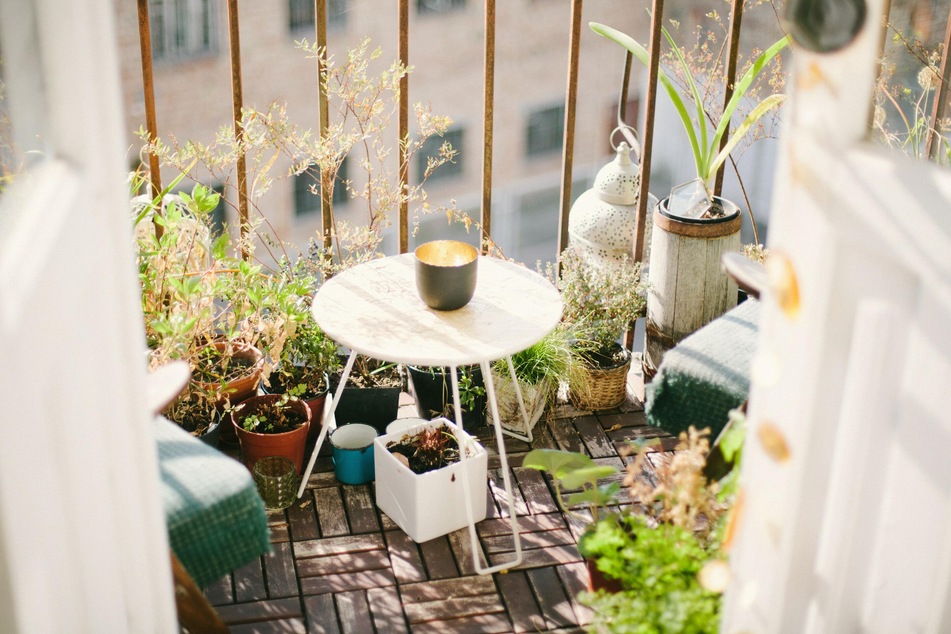 Ein Ost- bzw. Westbalkon ist für den Gemüseanbau auf dem Balkon ideal.