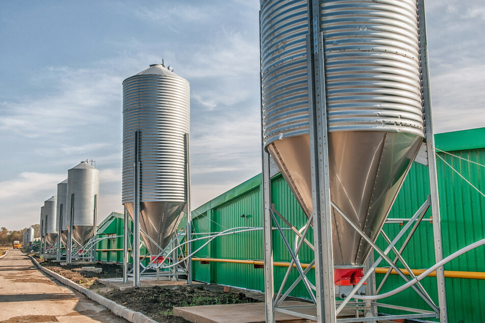 Der 49-Jährige wurde bei Arbeiten in einem Silo verschüttet (Symbolfoto).