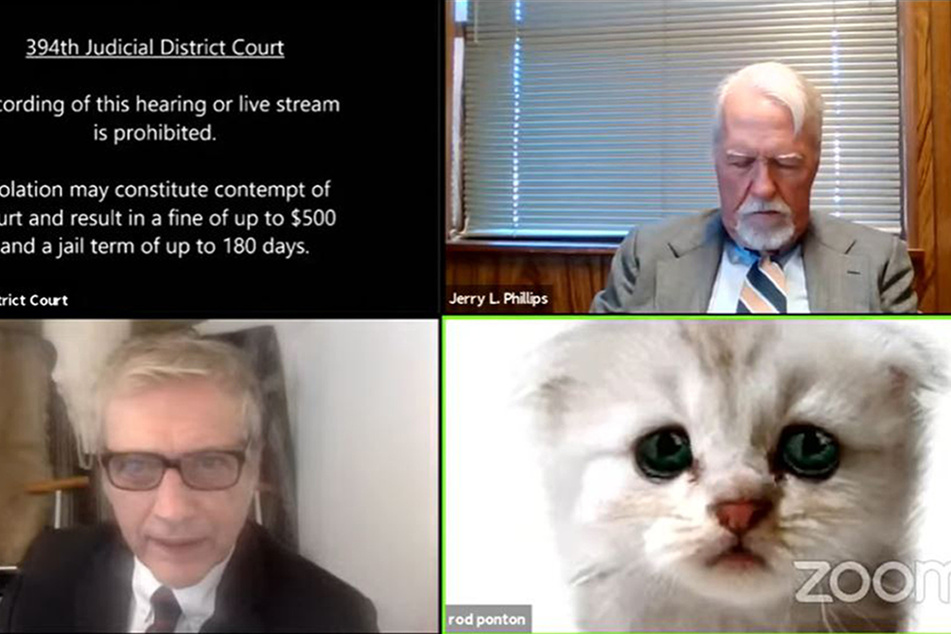 Katze vor Gericht? Anwalt wird mit Videokonferenz-Panne zum Internet-Hit