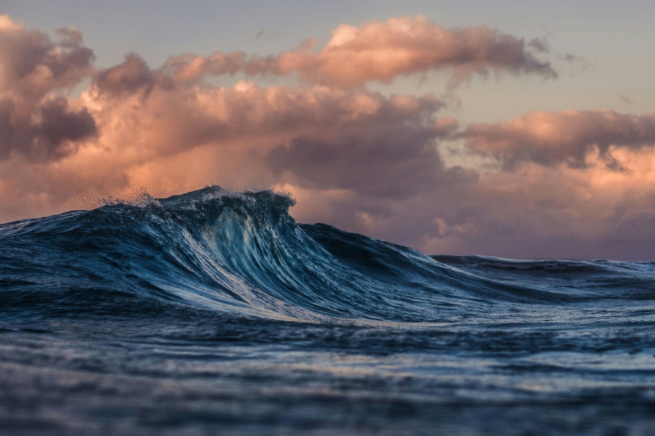 Scientists believe that water may have been brought to Earth by asteroids, most likely C-type asteroids, like the one that hit Earth 66 million years ago, although these are rarer.