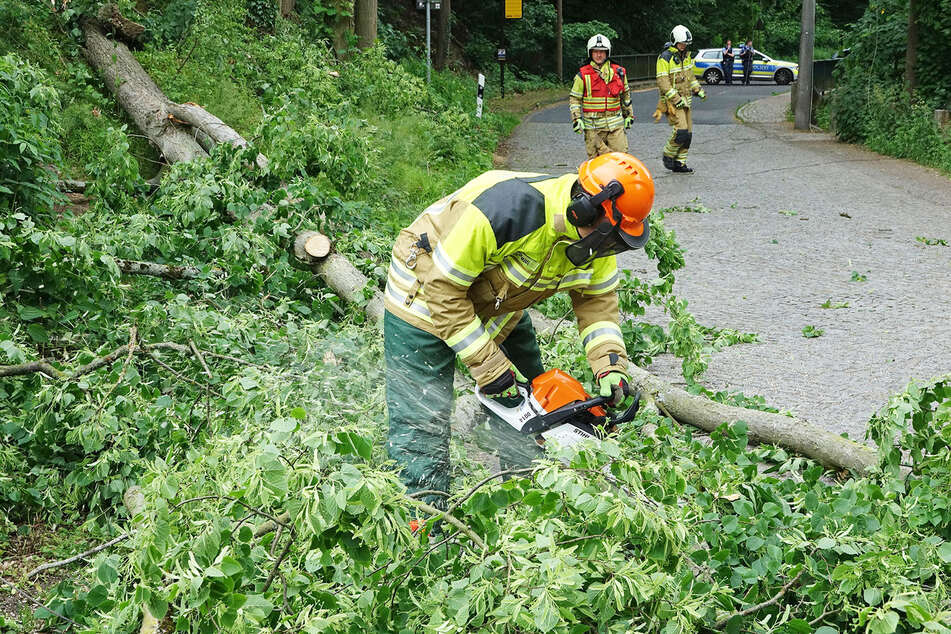 Erst als der Strom abgeschaltet wurde, konnten die Kameraden den Baum zersägen und beseitigen.