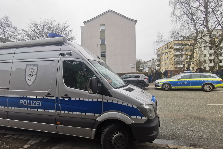 Hamburg: Katze in Fenster eingeklemmt! Dann findet die Polizei einen verdächtigen Gegenstand