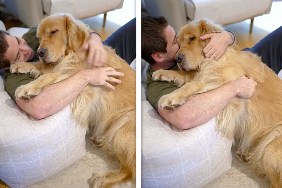 It is scientifically proven that petting dogs has positive effects on health, as Marley and his owner Gary show.