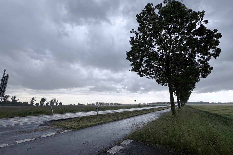 Dunkle Wolken in der Nähe von Leipzig. Für den Montag erwartet der Deutsche Wetterdienst (DWD) Gewitter und heftige Sturmböen für Sachsen, Sachsen-Anhalt und Thüringen.