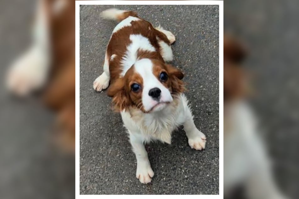 Jetzt möchten die Kleinen gerne die Welt kennenlernen.