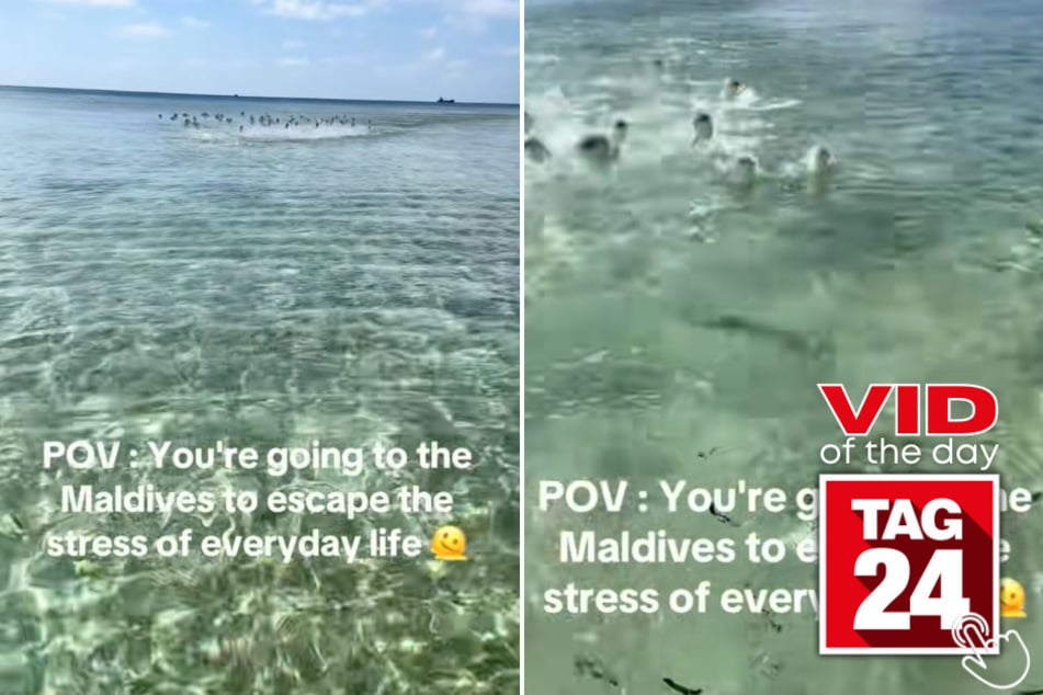 This woman's peaceful Maldives moment lasted exactly 2 seconds!