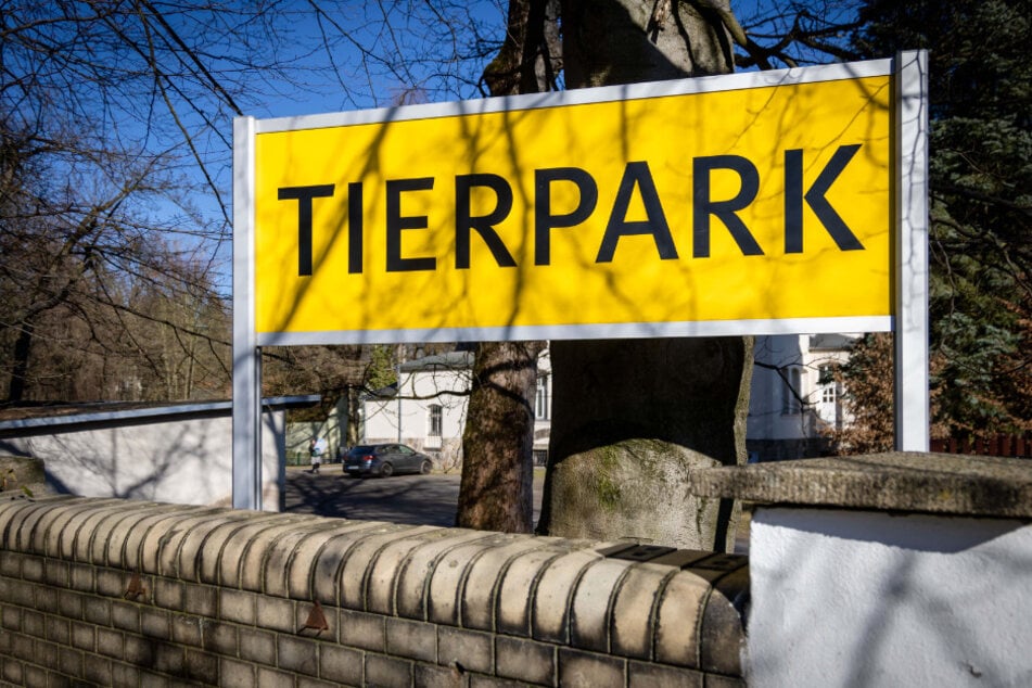 Im Tierpark Chemnitz wird heute geputzt, dass er sauber in den Frühling starten kann.