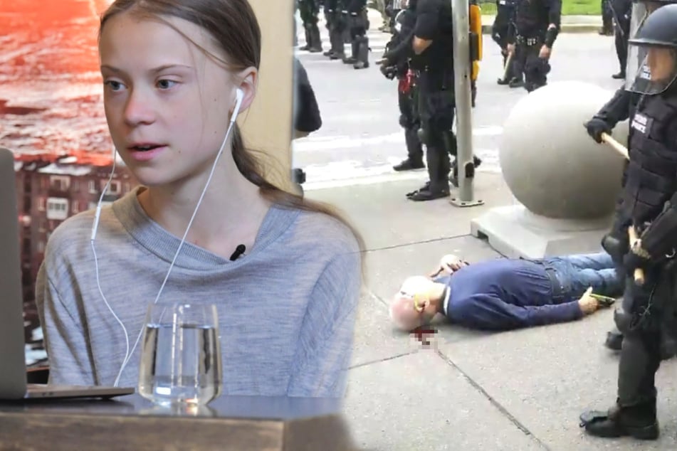 Greta Thunberg retweetet verstörendes Video und stellt wichtige Frage