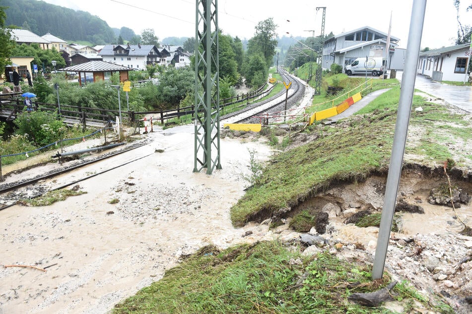 Hochwasser hat weitreichende Folgen: Wenn die Pegelstände von Gewässern steigen, ist der Schaden enorm - auch für Tiere.