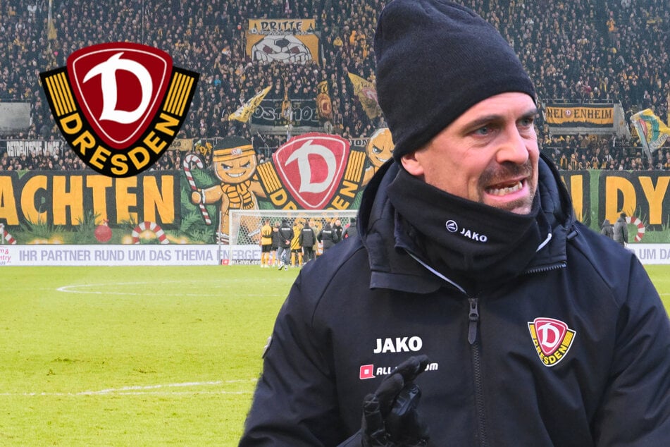 Sechs Punkte unterm Baum! Dynamo-Coach Stamm hat einen Weihnachtswunsch