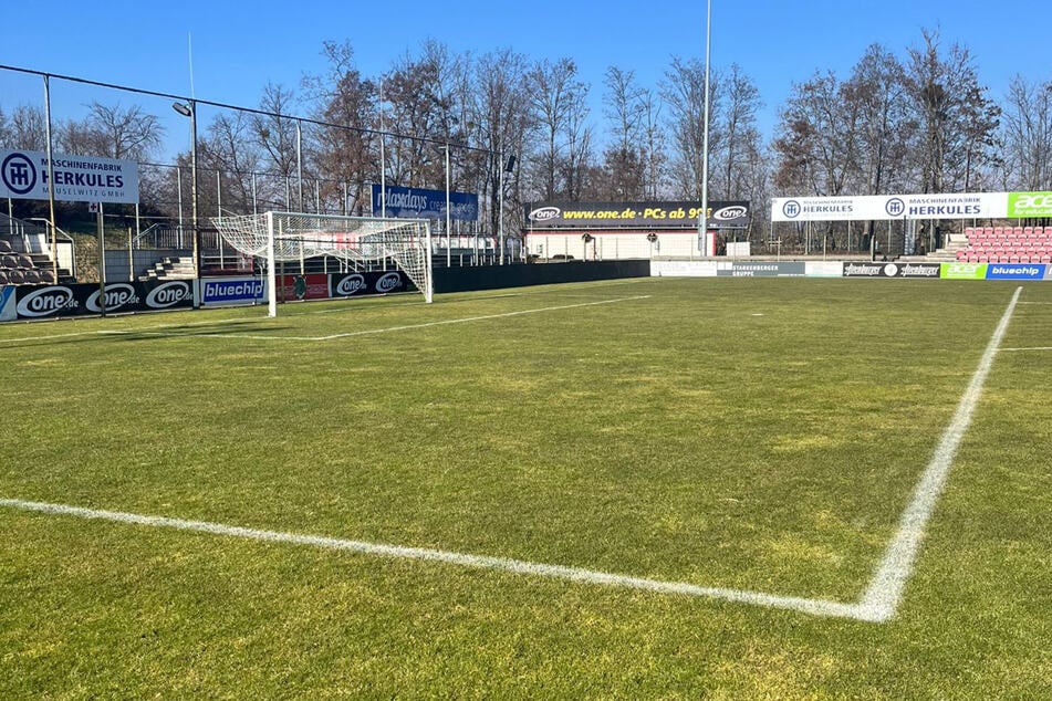 Daumen hoch: Der Rasen in der bluechip-Arena hielt zur Platzbegehung am Freitagnachmittag auch den prüfenden Blicken von FSV-Sportdirektor Robin Lenk stand. Damit steht Zwickaus erstem Punktspiel 2026 nichts mehr im Weg!