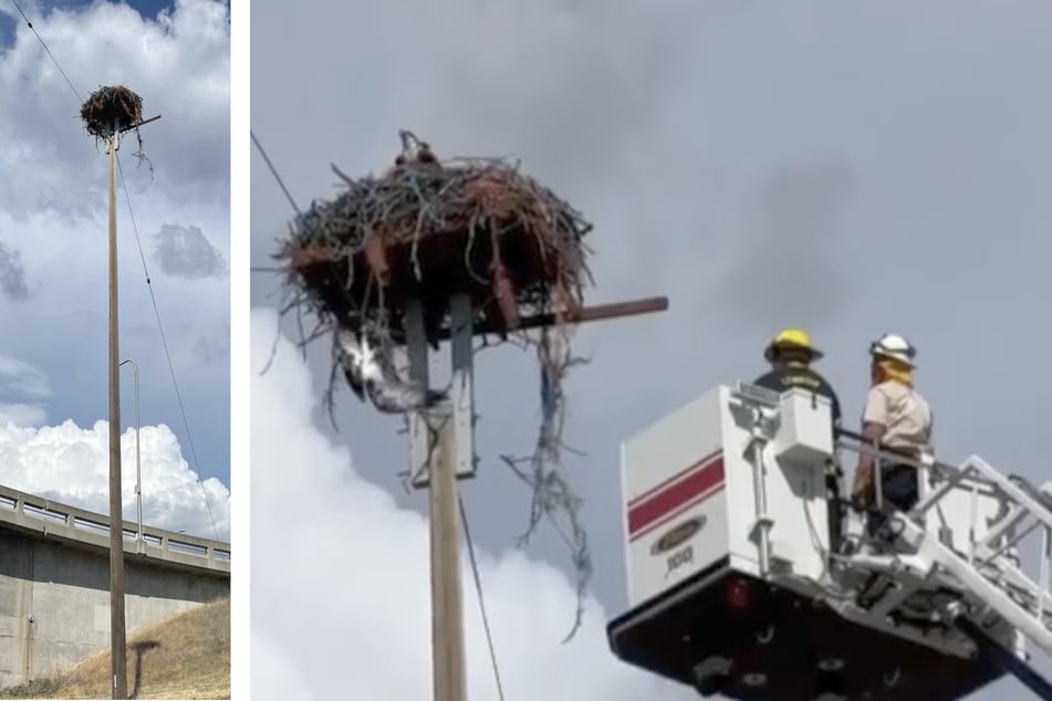 Das gemütliche Adlernest hoch oben wurde zu einer Todesfalle. Die Feuerwehr rückte jedoch noch rechtzeitig an.