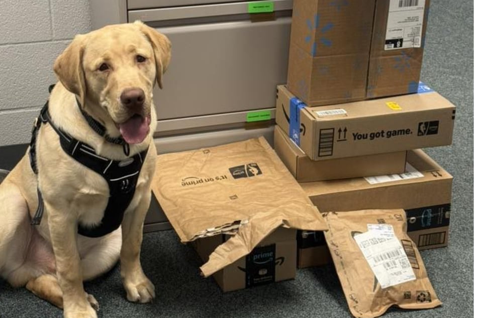 Nach dem viralen Beitrag erhielt der vierbeinige "Verdächtige" viel Unterstützung: Zahlreiche Menschen schickten Spielzeuge und Leckerlis an die Dienststelle.