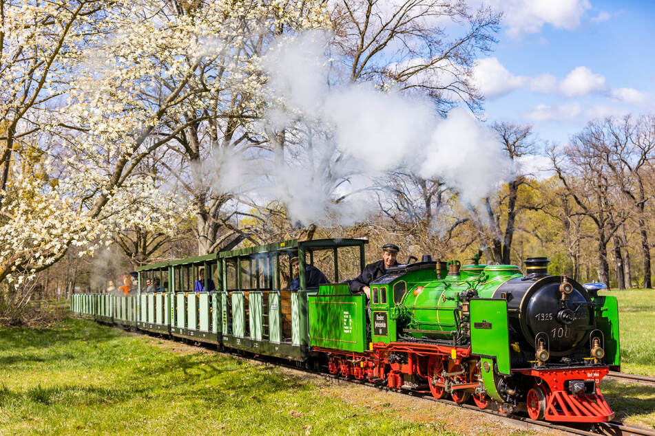 Die Parkeisenbahn Dresden ist zurück.