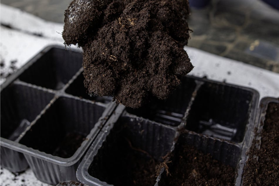 Statt Beerdigung im biologisch abbaubaren Sarg oder Einäscherung können Verstorbene in New York nun auch zu Erde kompostiert werden.