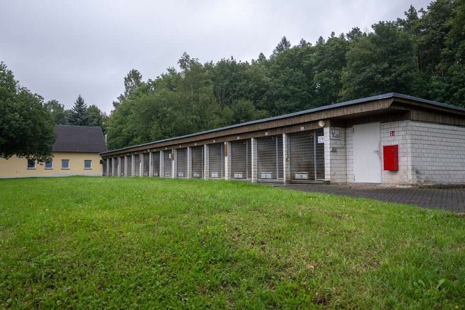 Im Tierheim Chemnitz sind derzeit alle Hundezwinger belegt.