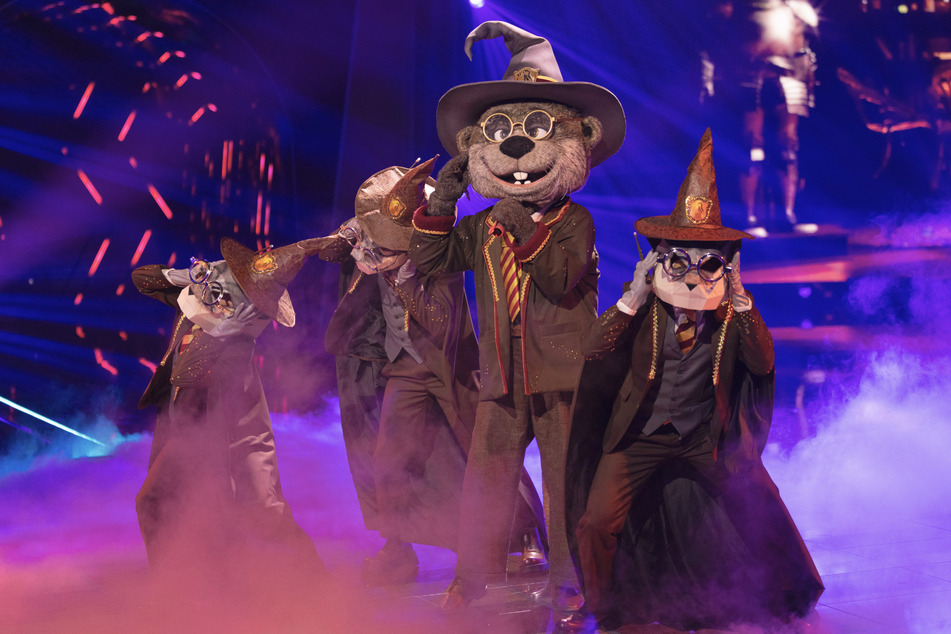 Mal sehen, ob sich "Harry Otter" bis ins Finale trällern kann.