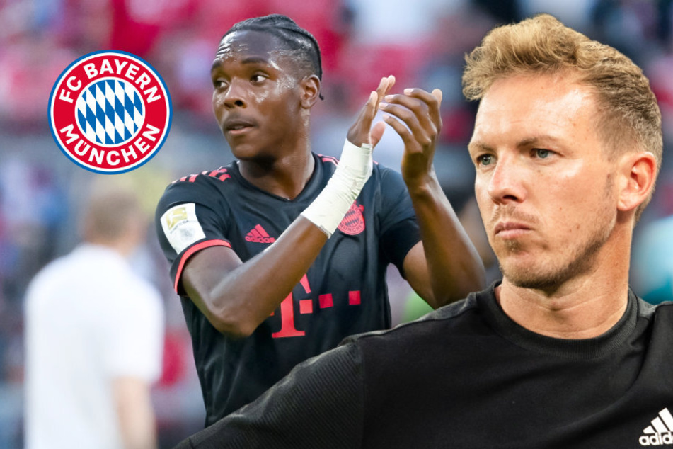 Youngster Tel fehlt FC Bayern gegen Union! Nagelsmann mit Lob für Gegner