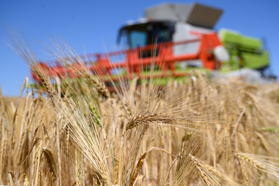 Der Landwirt stoppte die Maschine, doch der Mähdrescher fuhr noch ein Stück weiter. (Symbolbild)