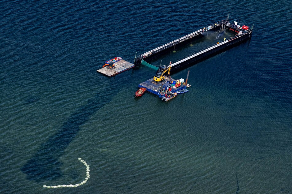 Timmy wurde mit mehreren Begleitschiffen in einer Barge in Richtung Nordsee transportiert und dort Anfang Mai freigelassen.