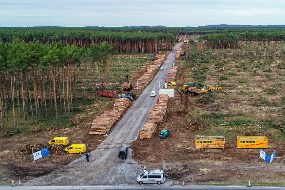 Blick auf das schon teilweise gerodete Waldgebiet auf dem künftigen Gelände der Tesla Gigafactory (Luftaufnahme mit einer Drohne).