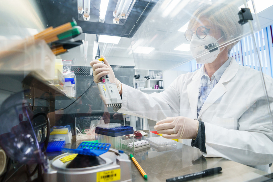 In einem Labor werden Coronavirus-Proben utnersucht.