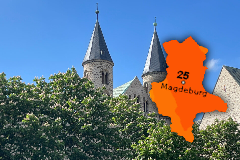 Im Skulpturenpark vor dem Magdeburger Kloster Unser Lieben Frauen könnt Ihr Euch hervorragend im Schatten der Bäume entspannen und die Wärme genießen.