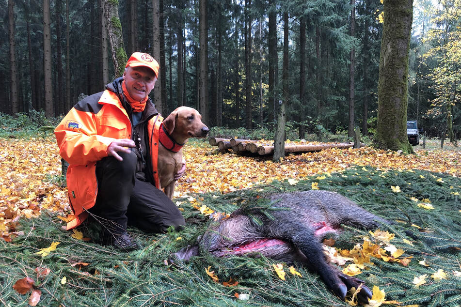 Es müsste eigentlich mehr bejagt werden, findet Jens Schreiber (50), hier mit Hund Anton (4) und einem erlegten Wildschwein.