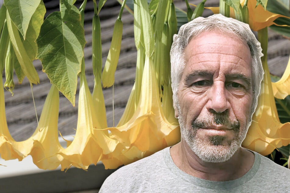 Gedächtnis- und Willensverlust: War Jeffrey Epstein im Besitz einer "Zombie-Droge"?