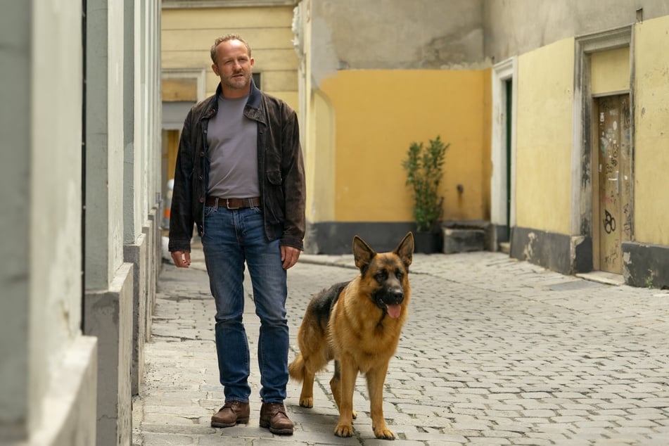 Zwischen Maximilian Brückner (47) und Schäferhund Capo funkte es nicht sofort.