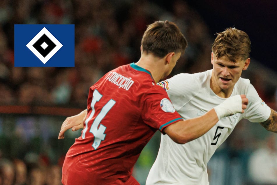 HSV-Blog: Nationalspieler fahren bescheidene Ergebnisse ein