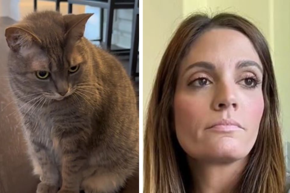 Cat Aurora and her owner Amy (r.) have lit up TikTok with their funny new video.
