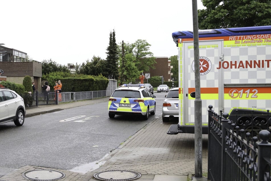 Polizist bei Einsatz von Pitbull angegriffen: Kollegen erschießen den Hund