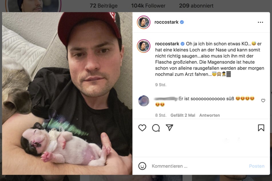 Rocco Stark (35) teilte ein Foto mit dem Welpen und seine Sorgen mit seinen Instagram-Followern.