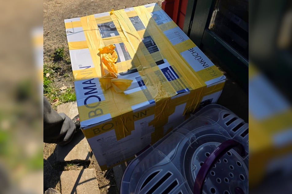 Dokonce i lepicí páskou byla tato krabice přilepena a tak pro kočky naprosto uzavřena.