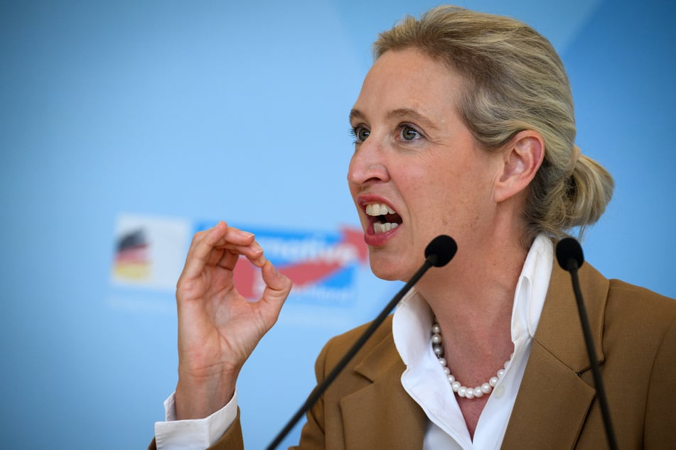 AfD-Fraktionsvorsitzende Alice Weidel (47) bezeichnete im ZDF-Sommerinterview die Regierenden in Deutschland als "Flachzangen".