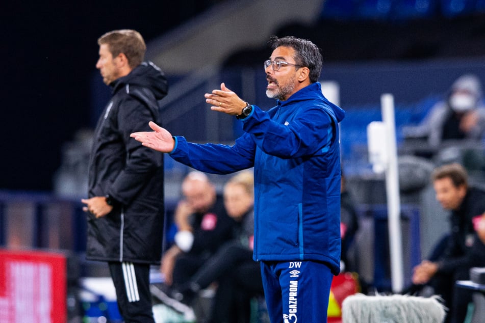 S04-Coach David Wagner (r.) wird nach diesem neuerlichen sportlichen Tiefschlag wohl nicht mehr zu halten sein.