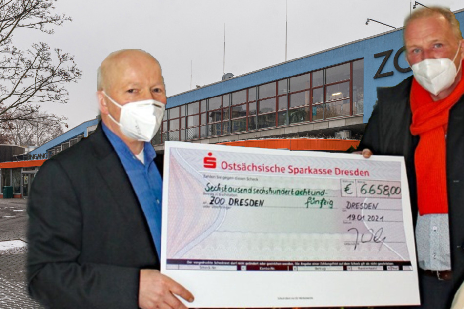 Spendenflut für den Dresdner Zoo: So viel Geld ist schon zusammengekommen